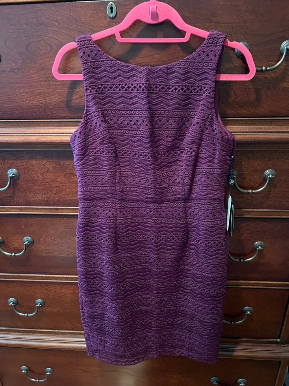 Julia Fringe Lace Sheath Dress